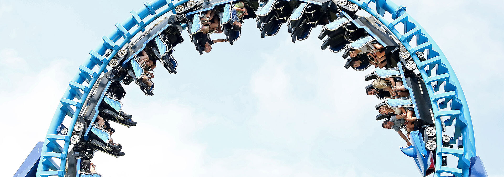 Wipeout