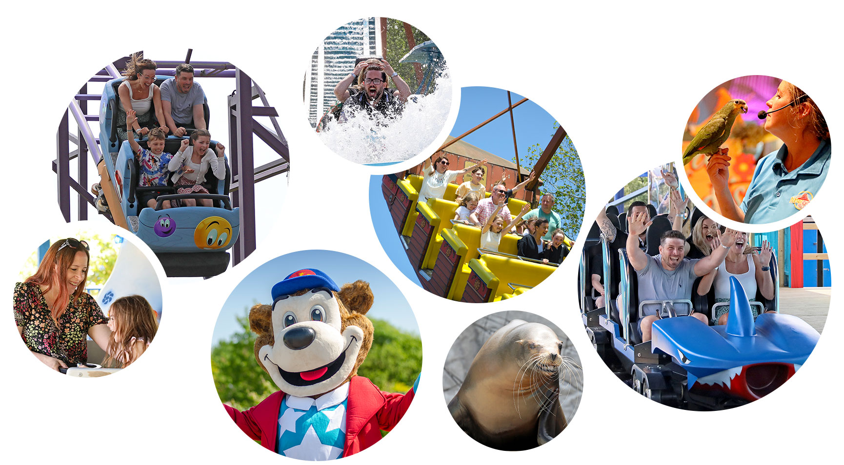 scene bubbles of theme park rides and attractions