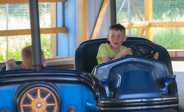Young boys on dodgems