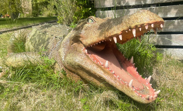 Model crocodile