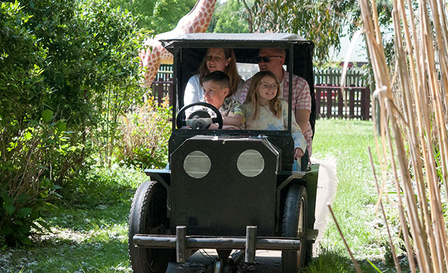 Family on vintage car theme park ride