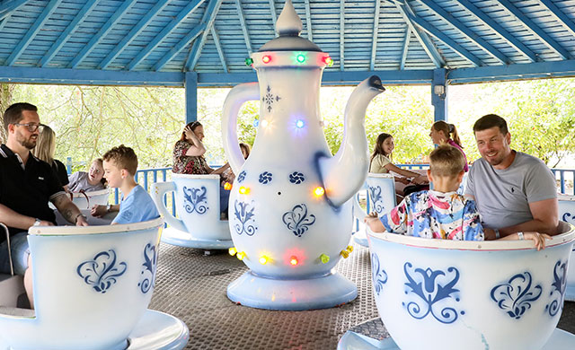 Families on teacups amusement ride