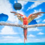 Birds of Paradise